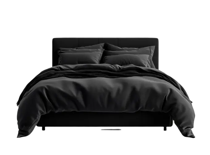 Modern Platform Bed – Black Finish